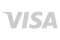 Icono-Visa